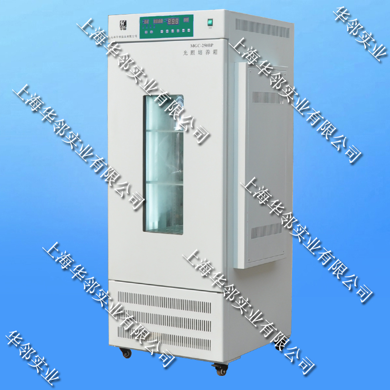 300升BPY(液晶表可编程)光照培养箱_智能光照培养箱厂家 300升BPY(液晶表可编程)光照培养箱_智能光照培养箱厂家